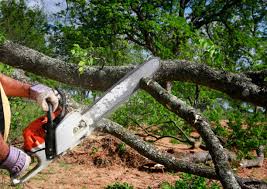 Lawn Watering Services in Auburn, KS